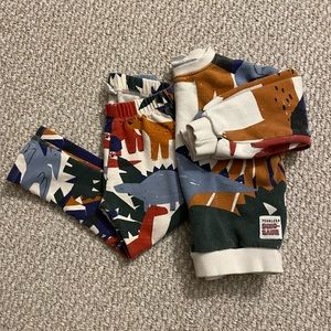 Zara Boys’ Dinosaur Sweatshirt and Pants Set